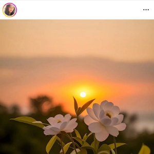 Instagram story viewer